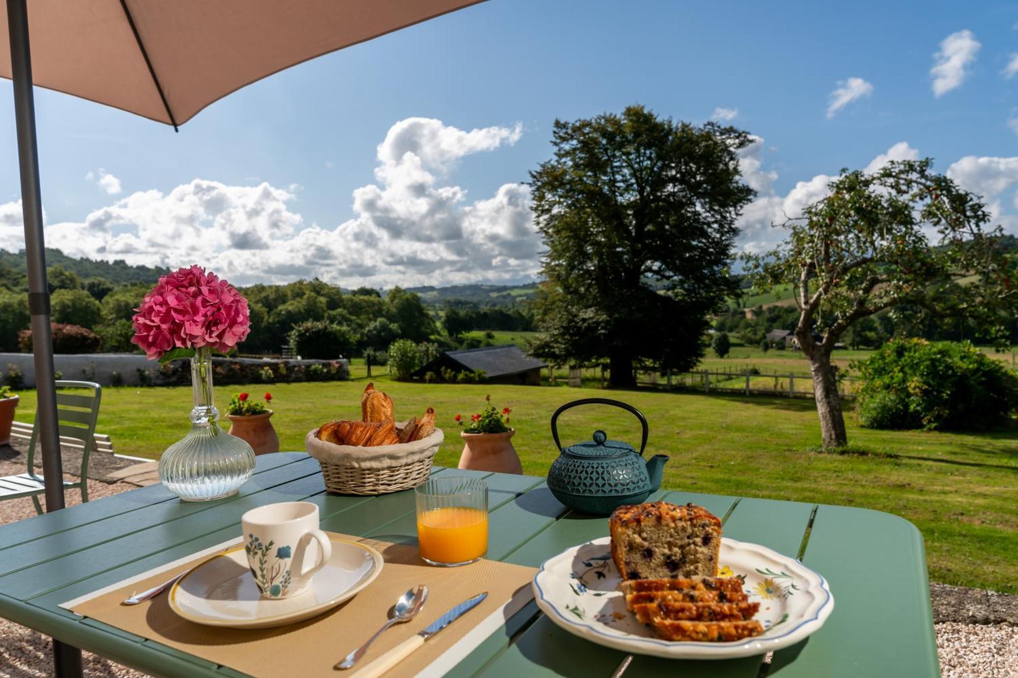Le Relais Du Faget Hotel Oloron-Sainte-Marie Luaran gambar